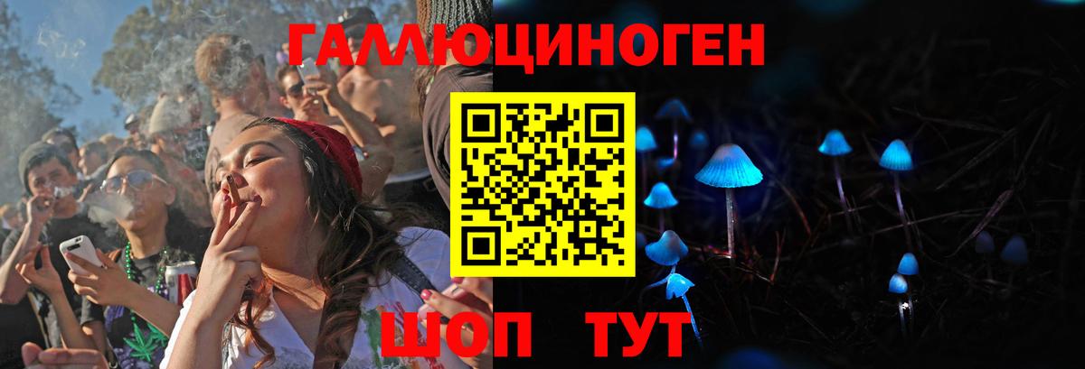 Галлюциногенные грибы GOLDEN TEACHER  Вход с VPN  где продают   Мурманск 